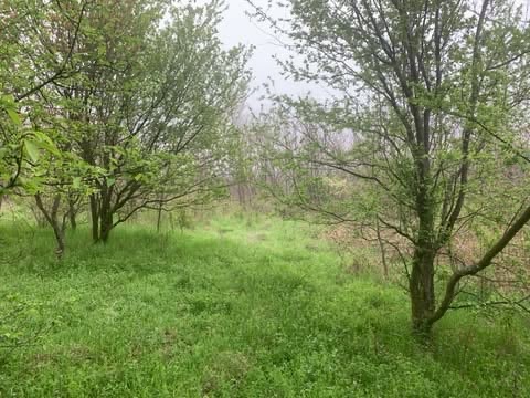 Plac Vlaska Mladenovac 33 58ari 3