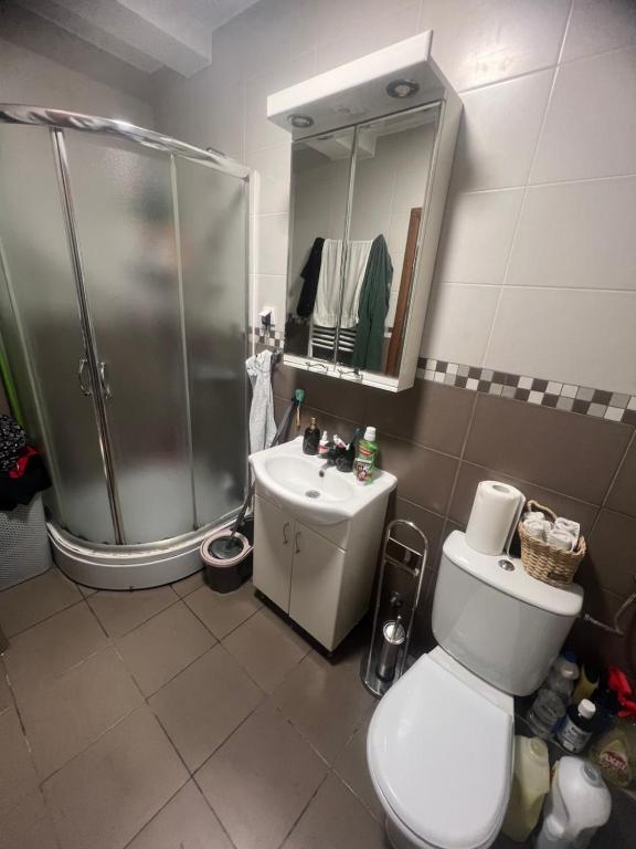 Namesten jednoiposoban stan Zemun Altina TOP 3