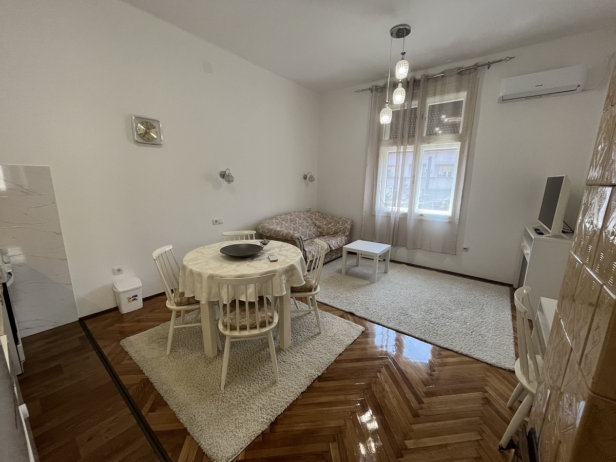 Izdajemo renoviran salonski stan  Cvijićeva  60m2 3
