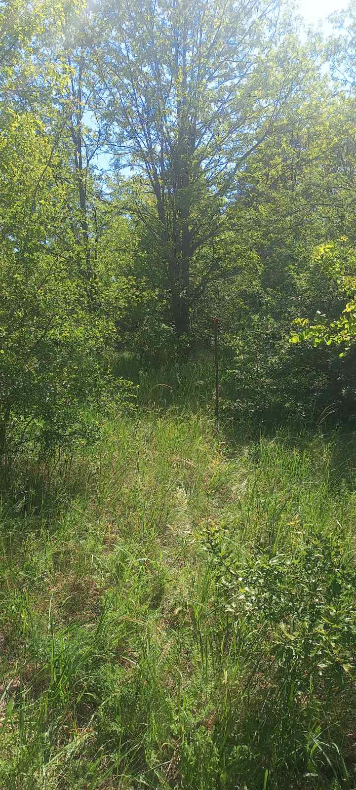 Plac 20ari Devojacki Bunar 5