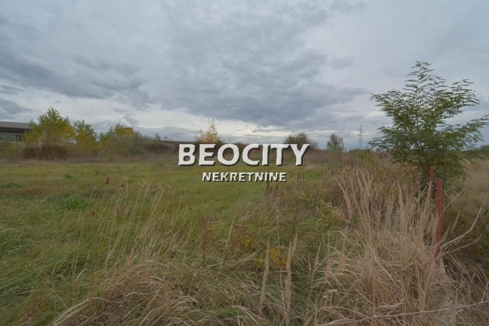 Lokal, 1900 m2, Palilula, Zrenjaninski put ID: 119700 9