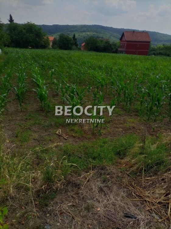 Plac, Sopot, Zmaj Jovina ID: 119677 2