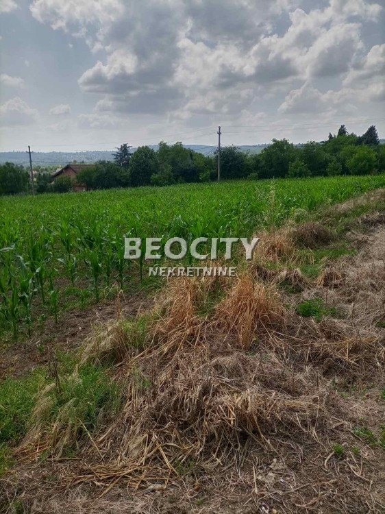 Plac, Sopot, Zmaj Jovina ID: 119677 3