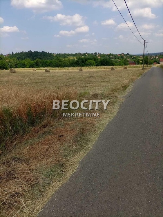 Plac, Sopot, Zmaj Jovina ID: 119678 2