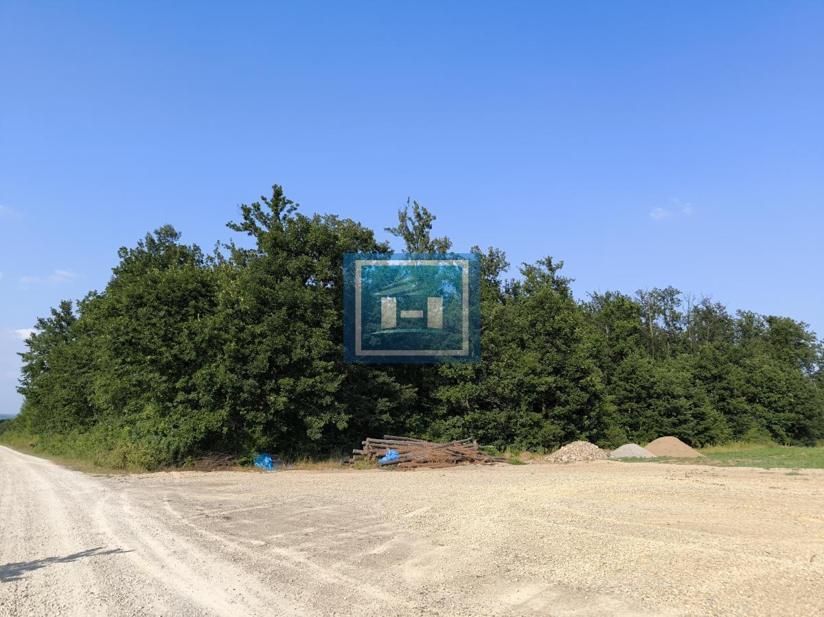 Priča iz Brestova – gde priroda postaje vaš dom 28