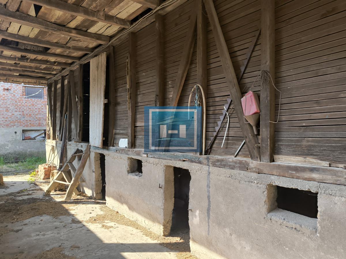 Priča iz Brestova – gde priroda postaje vaš dom 4