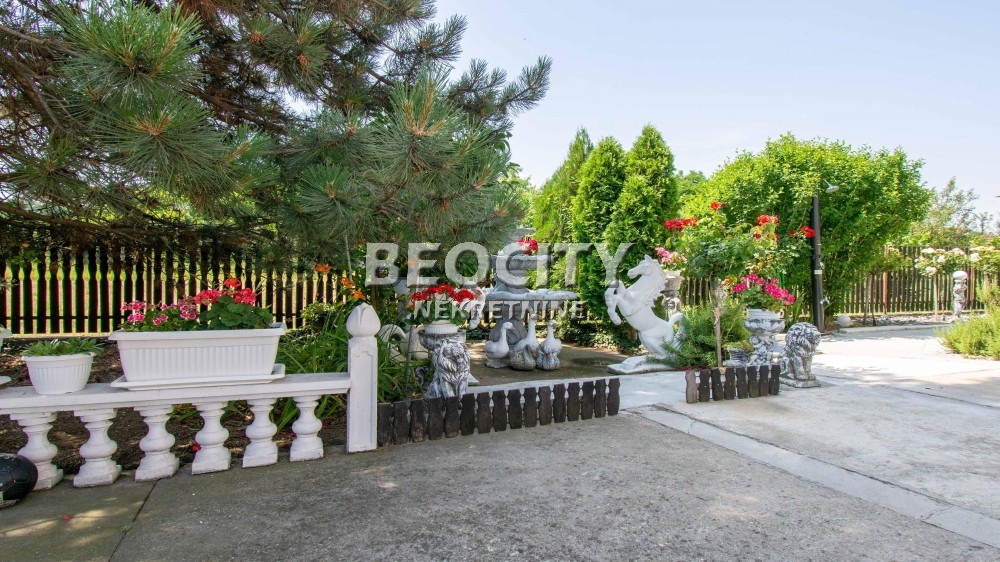 Kuća, 160 m2, Obrenovac, Mislodjinska ID: 119594 17