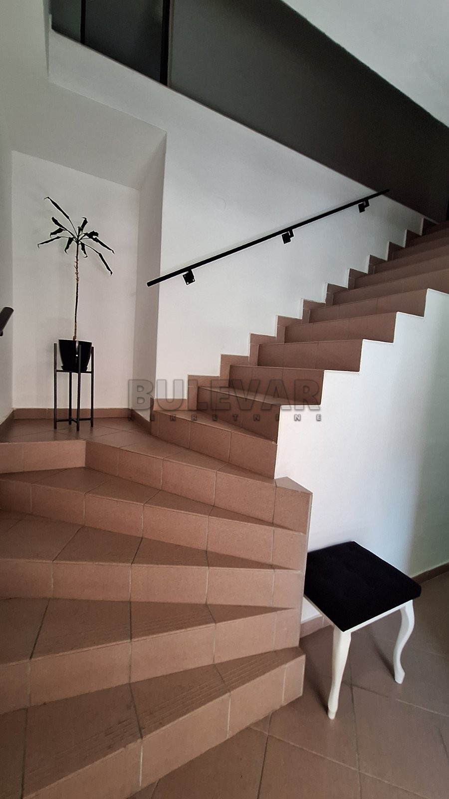 Lokal, 320 m2, Centar, 7. jula ID: i-014260 11