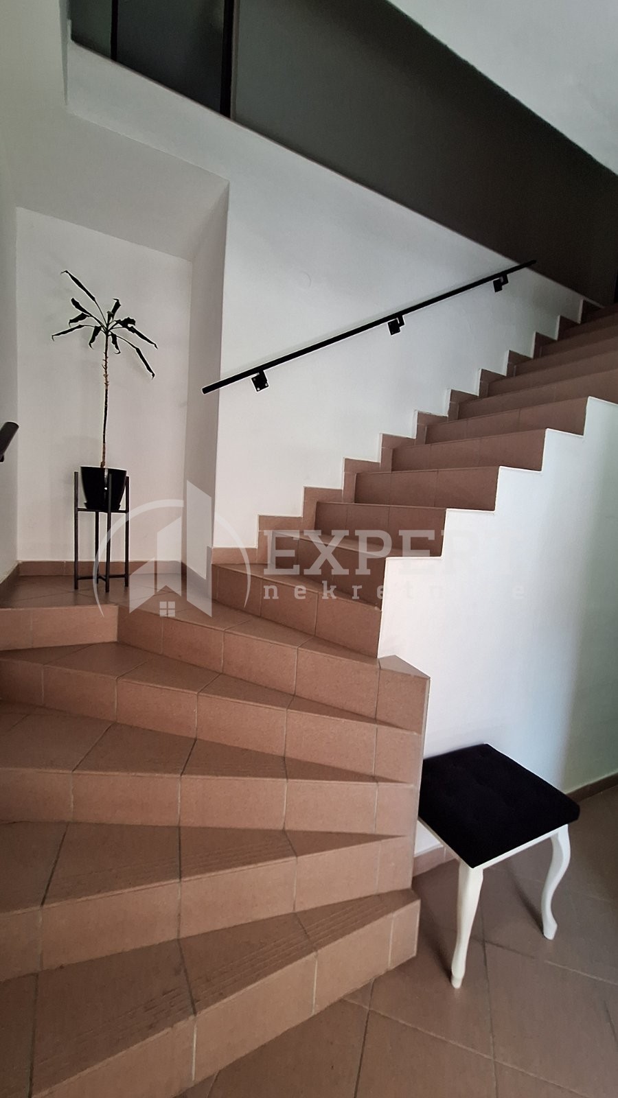 Lokal, 320 m2, Centar, 7. jula ID: i-014260 11