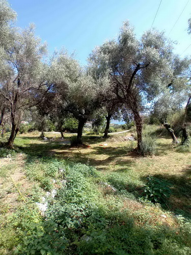 Herceg Novi  građevinski placevi na 1 7 km od centra 3