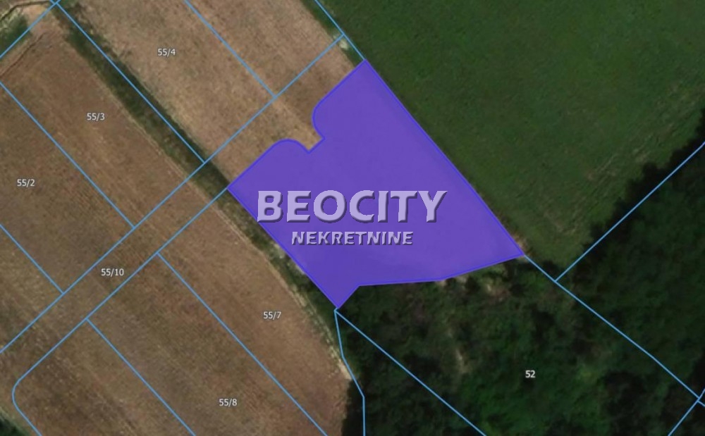 Plac, Sopot ID: 119394 1