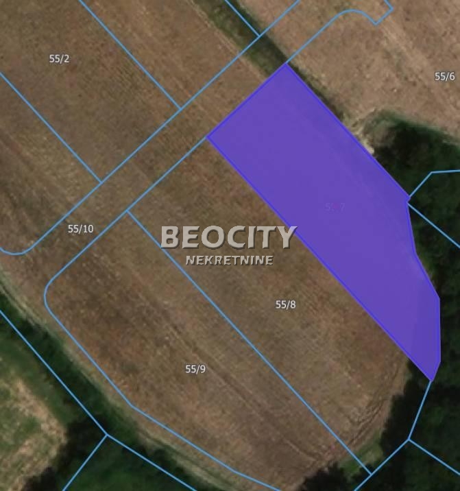 Plac, Sopot ID: 119395 1