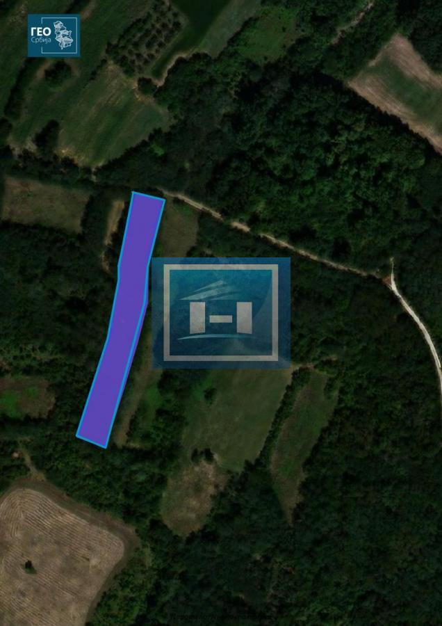 Na prodaju poljoprivredno zemljište – Šantarovac (oko 4 hektara) 5
