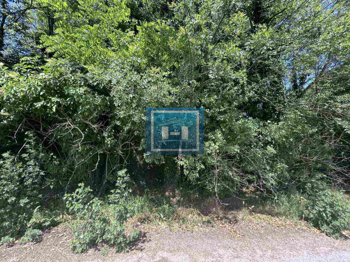 Plac za izgradnju kuće u Lapovu, na parceli stara kuća i započet objekat 9