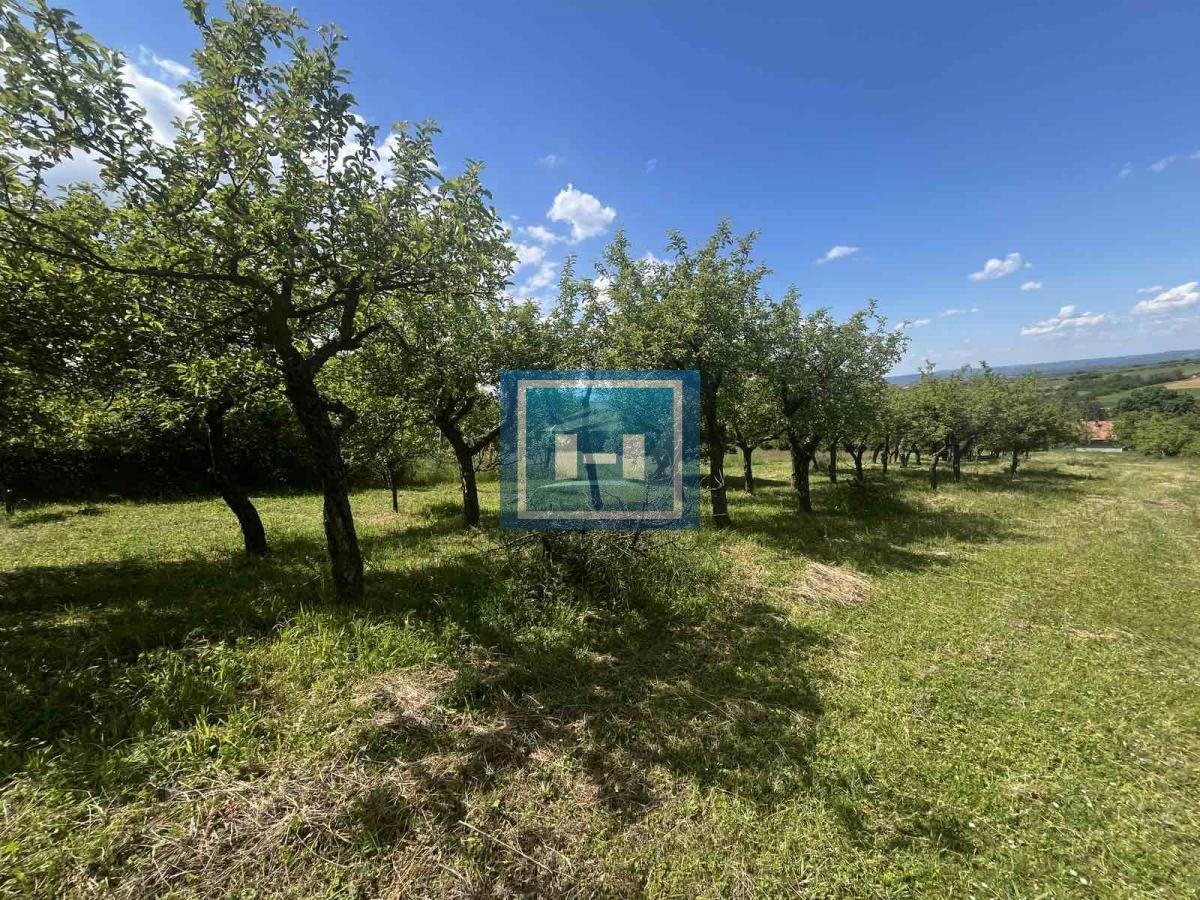 Domaćinstvo i kuća Majur 10