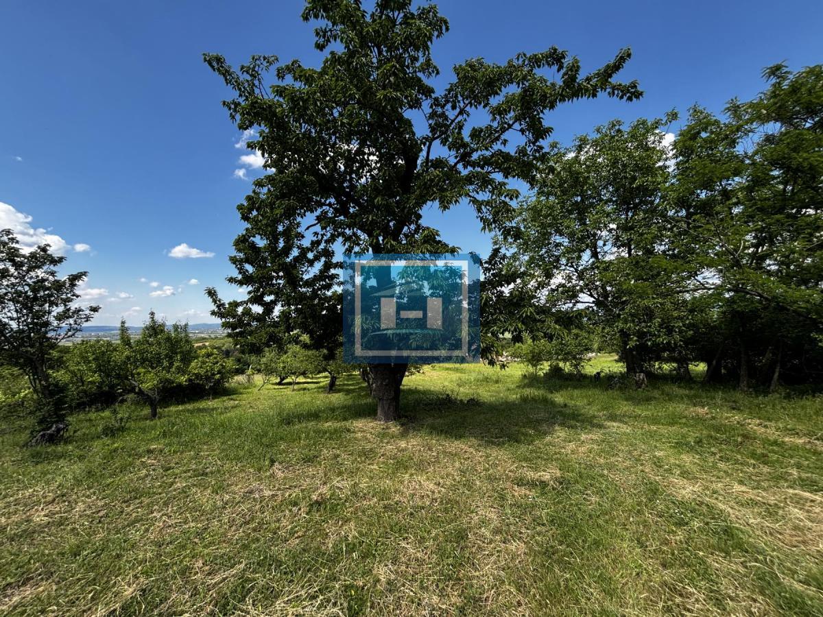 Domaćinstvo i kuća Majur 14