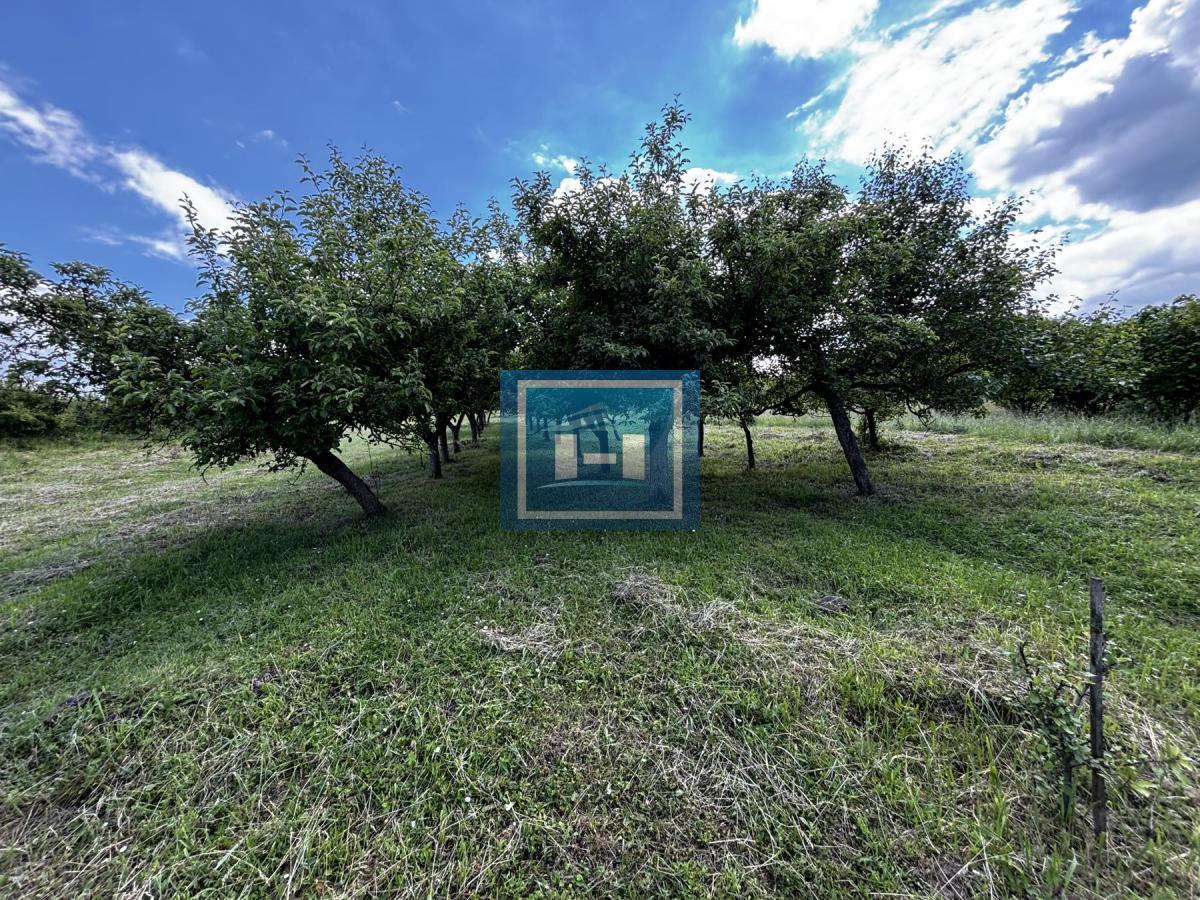 Domaćinstvo i kuća Majur 13