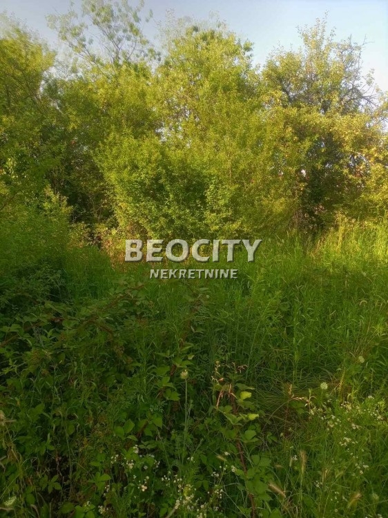 Plac, Jajinci, Brdska ID: 119968 3