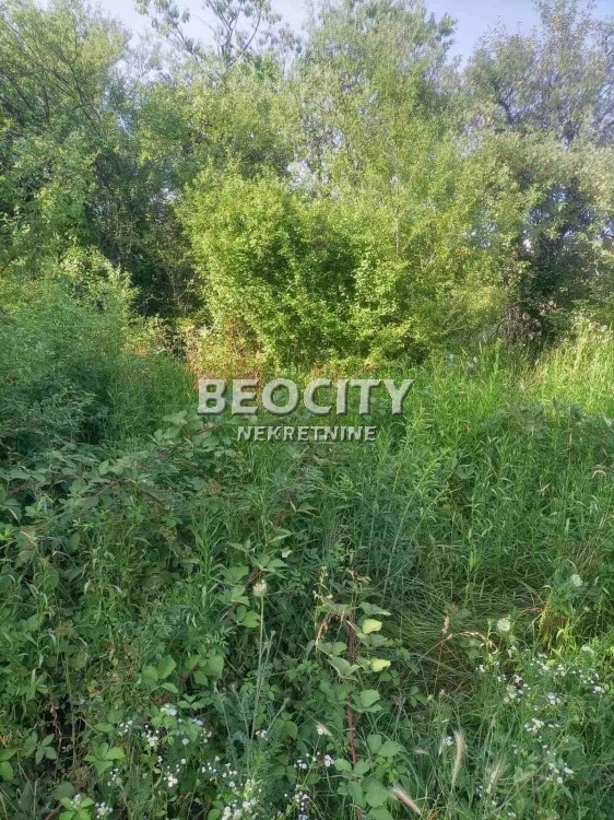 Plac, Jajinci, Brdska ID: 119968 2