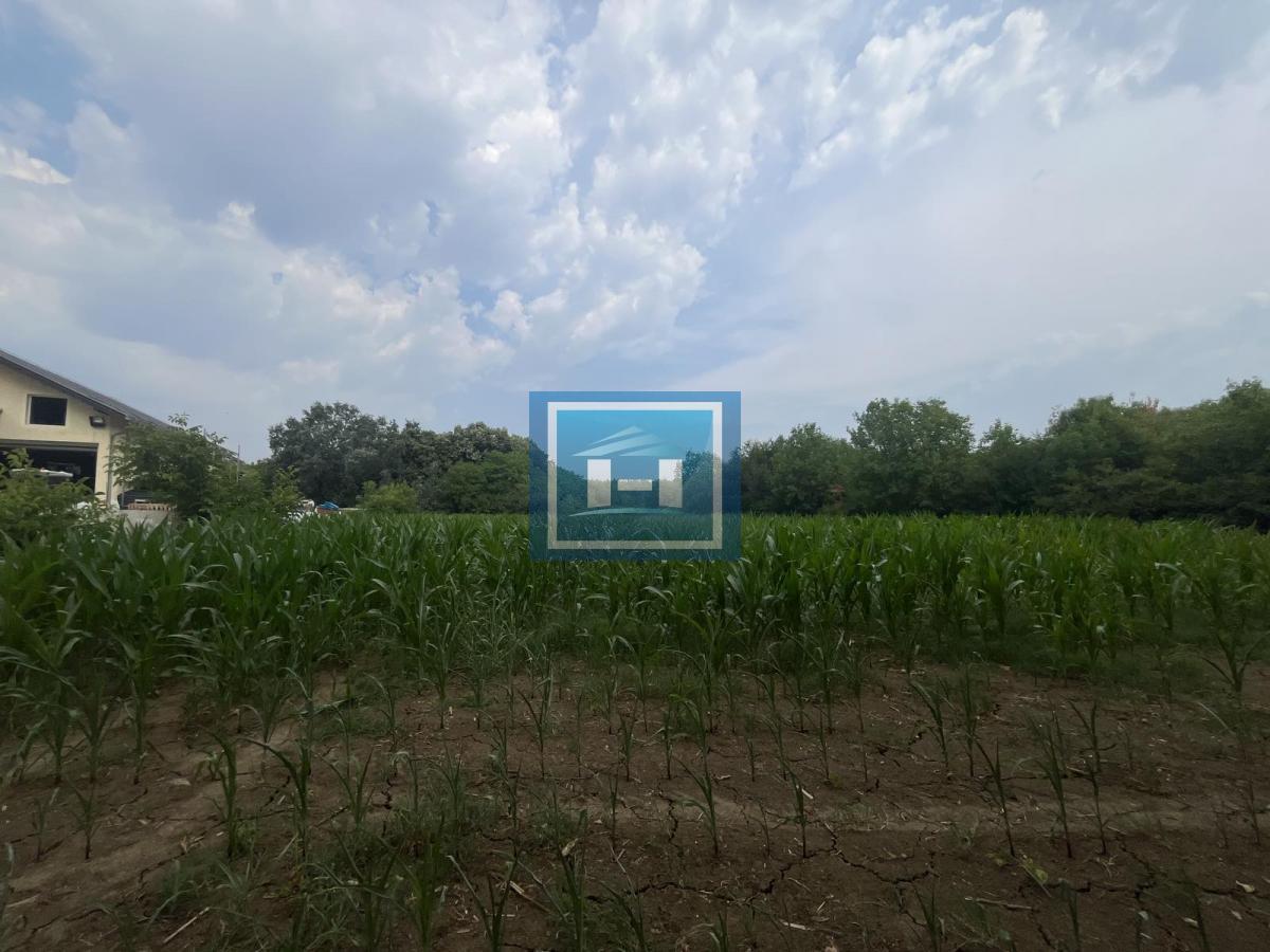 Plac za gradnju poslovnog objekta ili hale 2