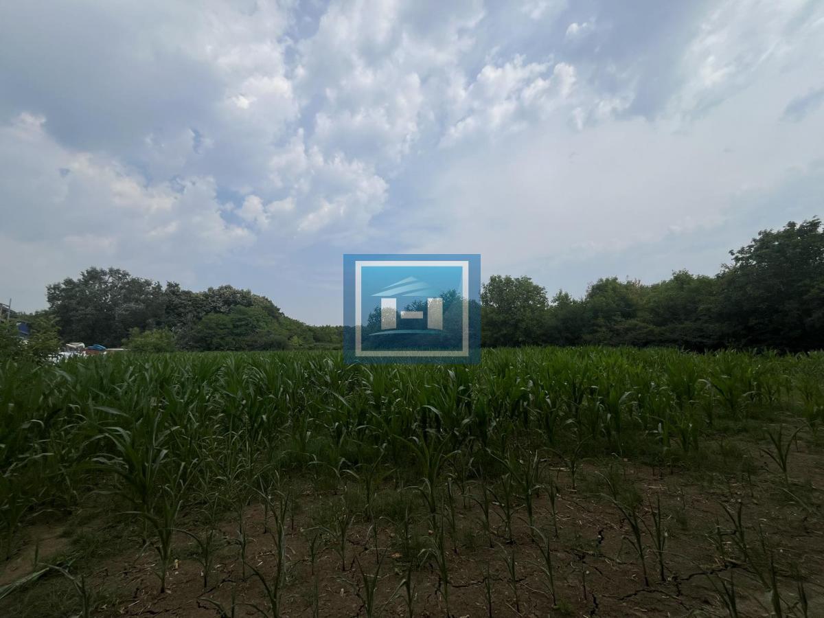 Plac za gradnju poslovnog objekta ili hale 5