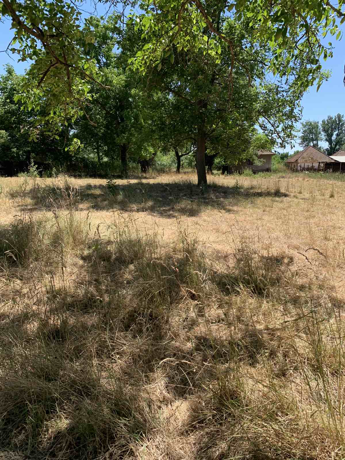 Prodajem zemljiste u Jagnjilu Mladenovac 1