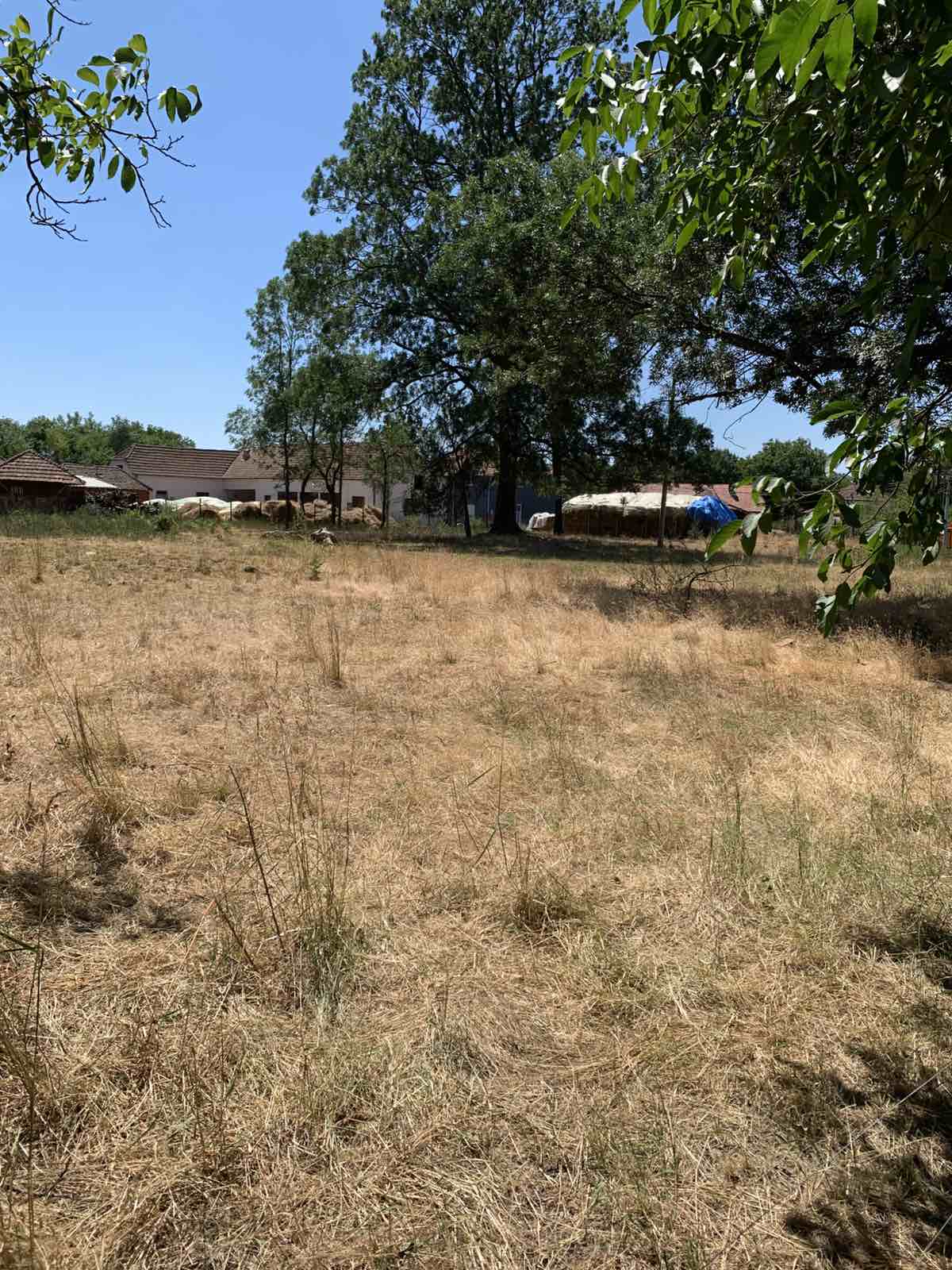 Prodajem zemljiste u Jagnjilu Mladenovac 2