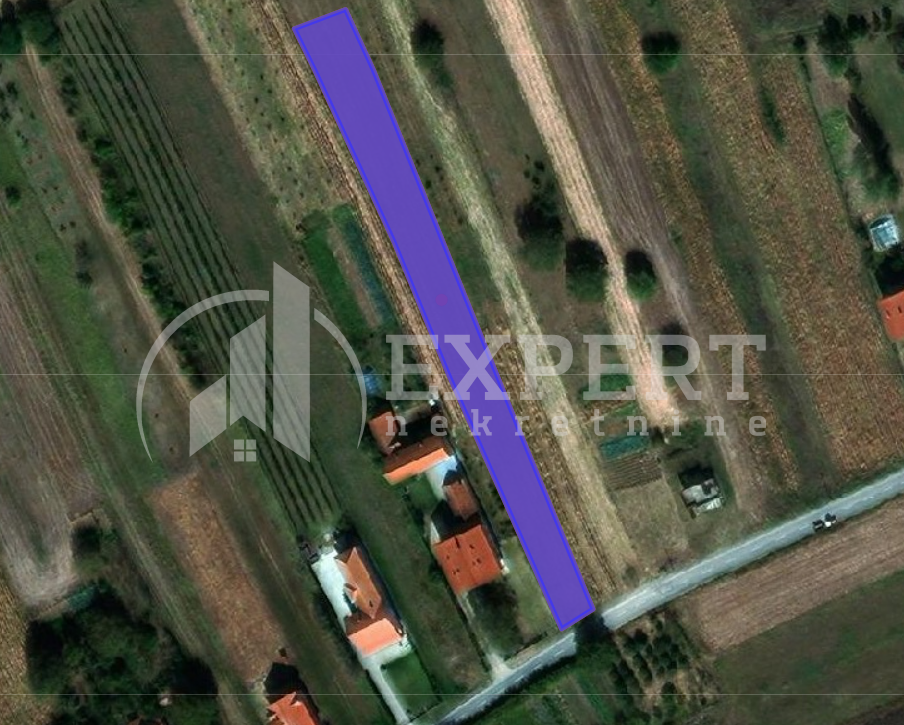 Plac, Trupale, Trupale ID: p-014333 1