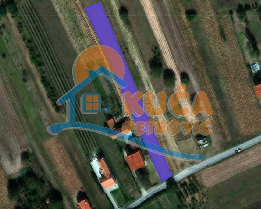 Plac, Trupale, Trupale ID: p-014333 1