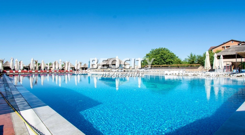 Lokal, 3400 m2, Altina, Akira Kurosave ID: 120253 16