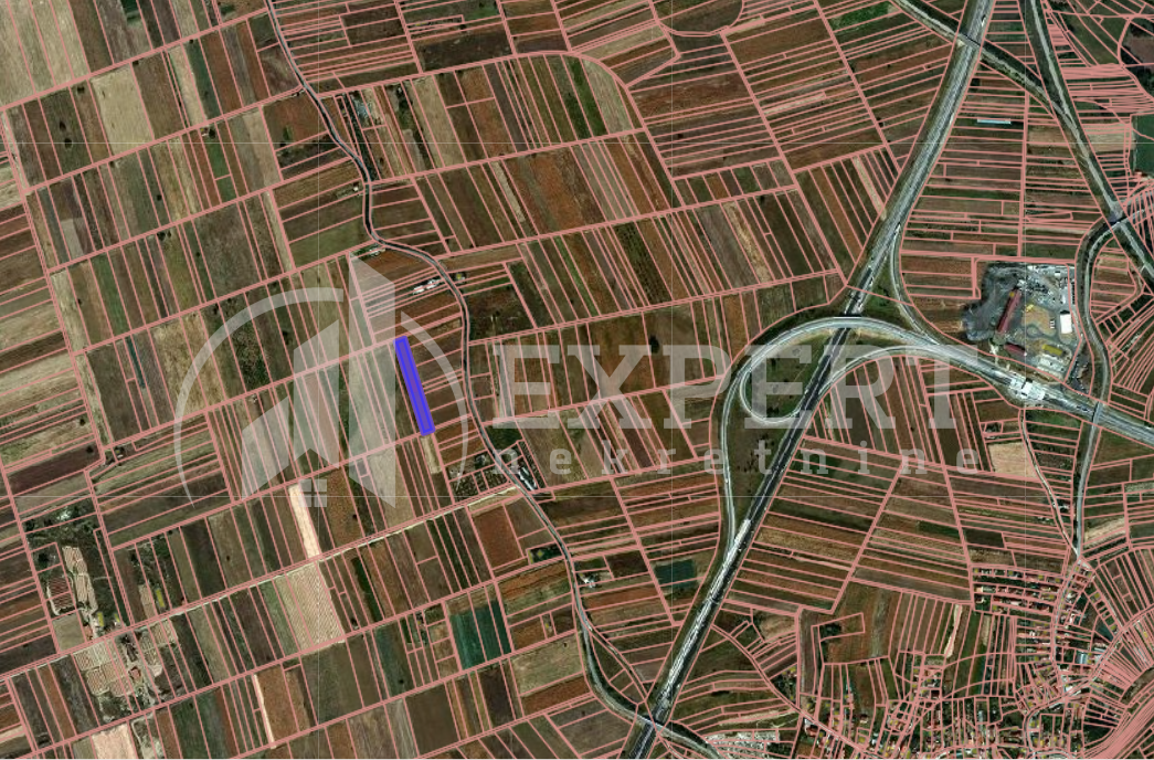 Plac, Palilula, 8. mart ID: p-014405 2