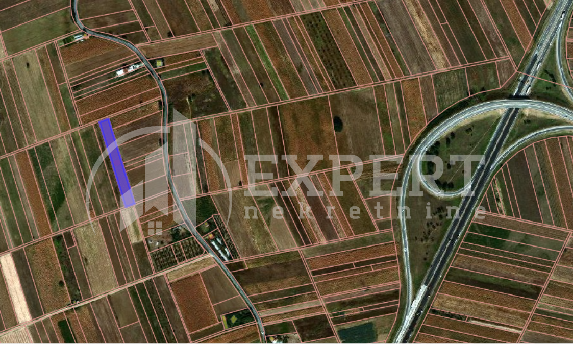 Plac, Palilula, 8. mart ID: p-014405 3