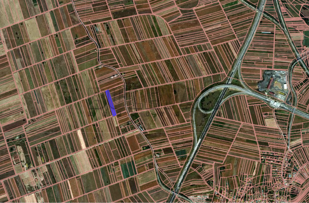 Plac, Palilula, 8. mart ID: p-014405 2