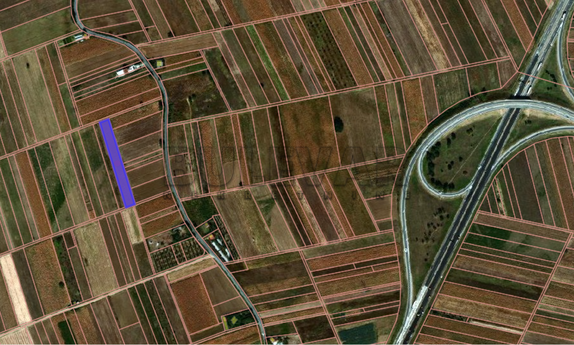 Plac, Palilula, 8. mart ID: p-014405 3