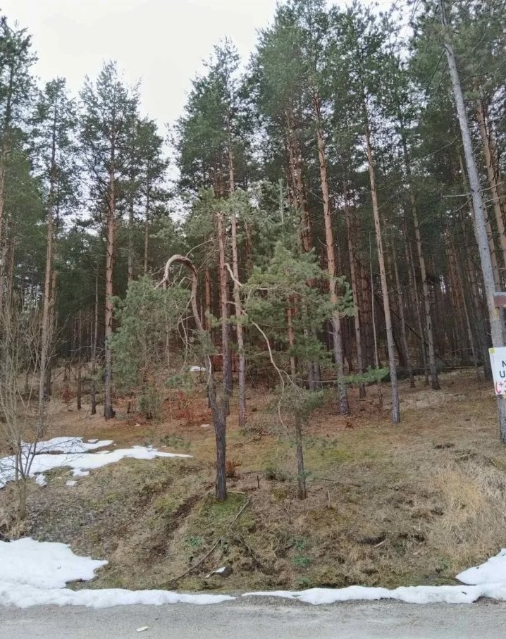 Plac na prodaju Zlatibor Vodice 1