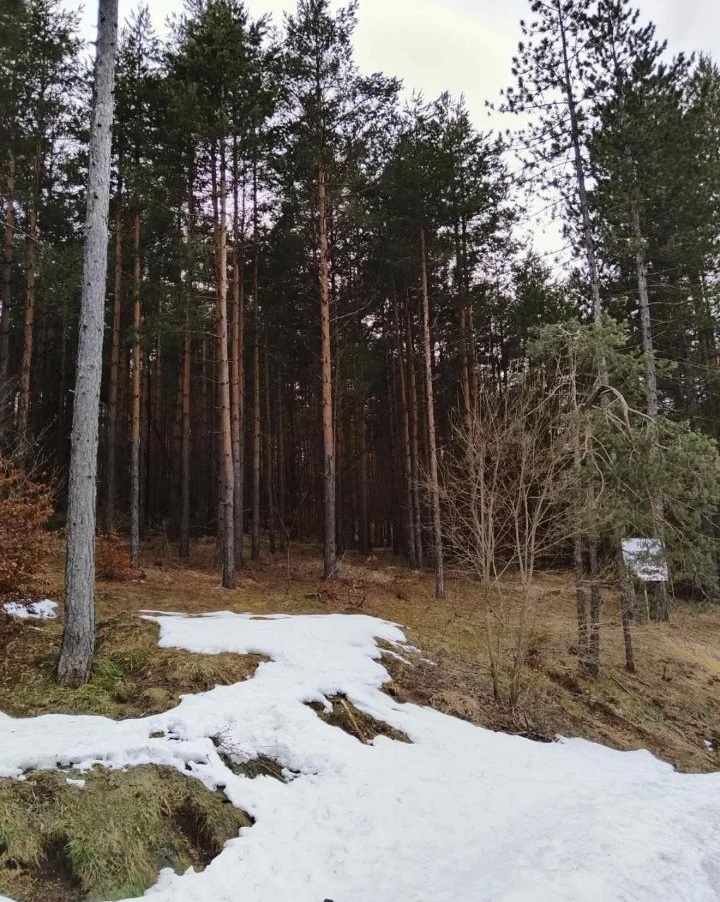 Plac na prodaju Zlatibor Vodice 5