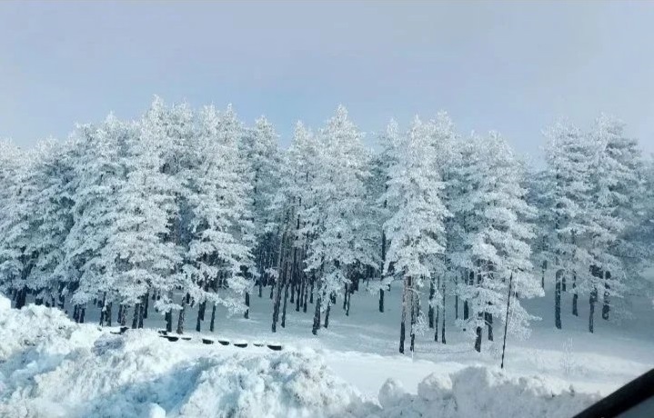 Plac na prodaju Zlatibor Vodice 3