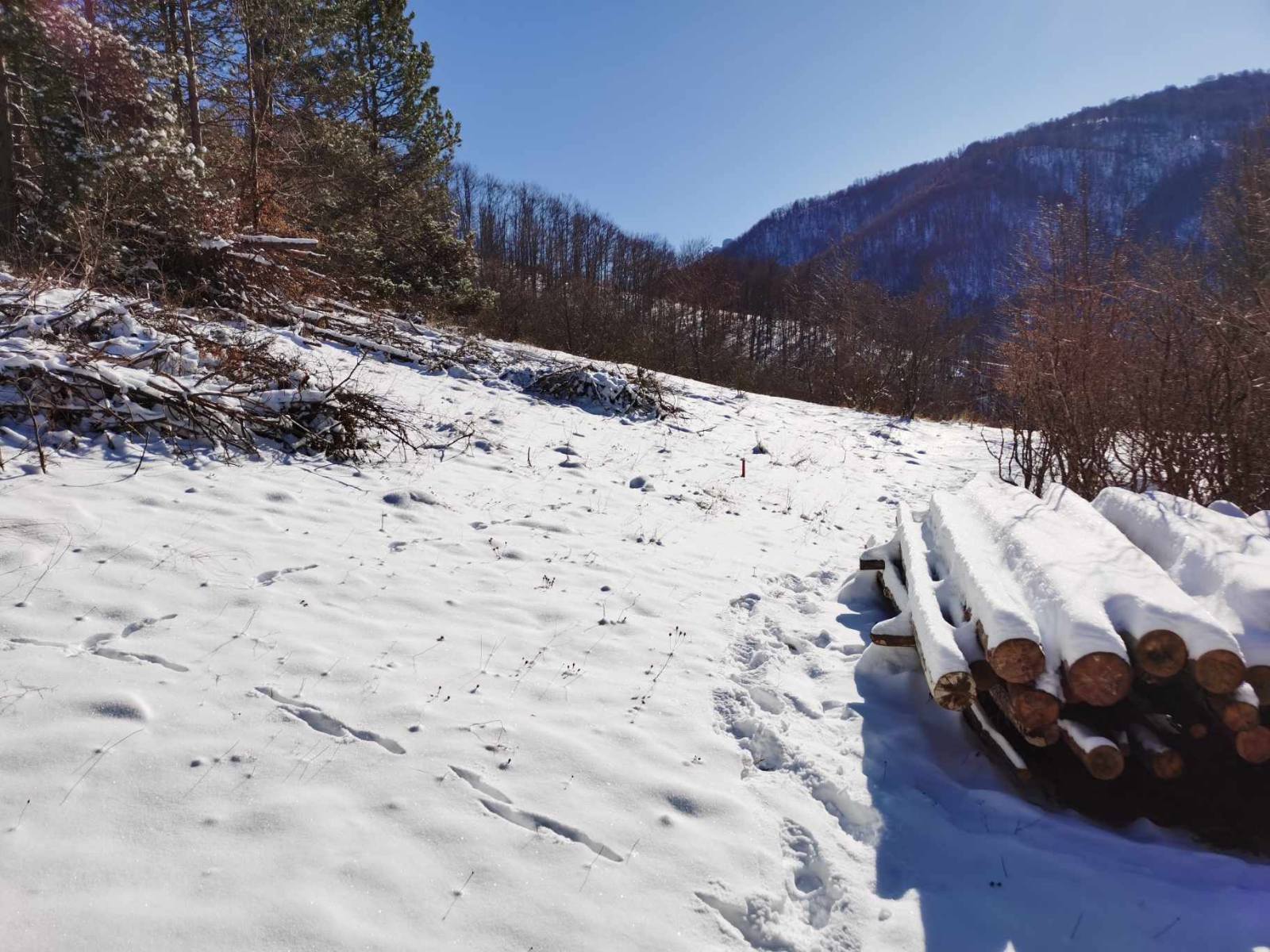 Gradjevinsko zemljiste u selu Crni Vrh na Babinom Zubu 4