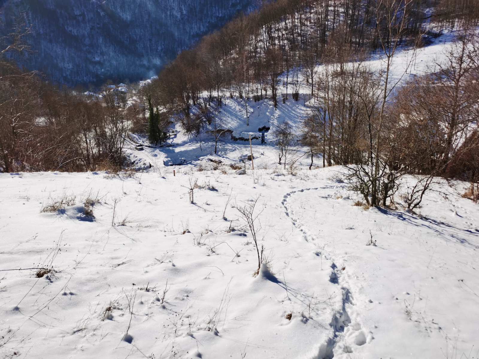 Gradjevinsko zemljiste u selu Crni Vrh na Babinom Zubu 5