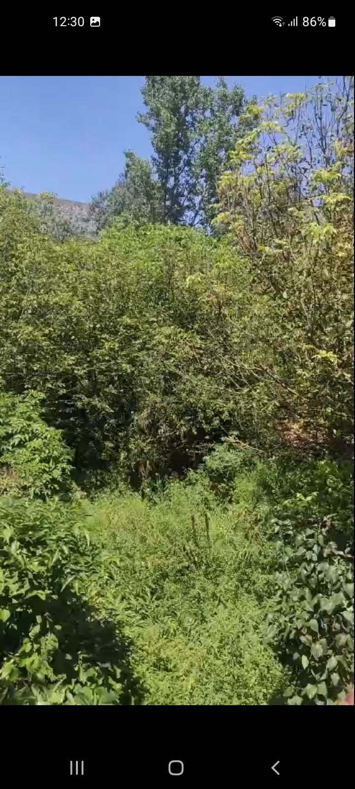 četvorosobna kuća, 120 m2, Niševac, Niševac ID: p-014417 7