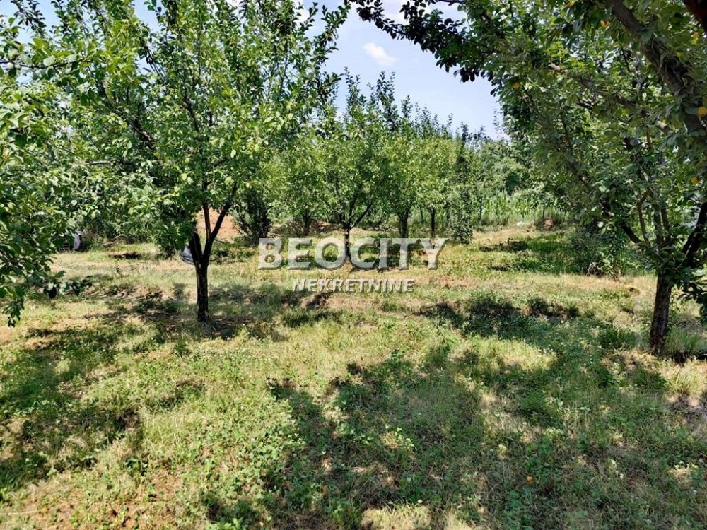 Plac, Pinosava, Brace Nenadovic ID: 117226 5