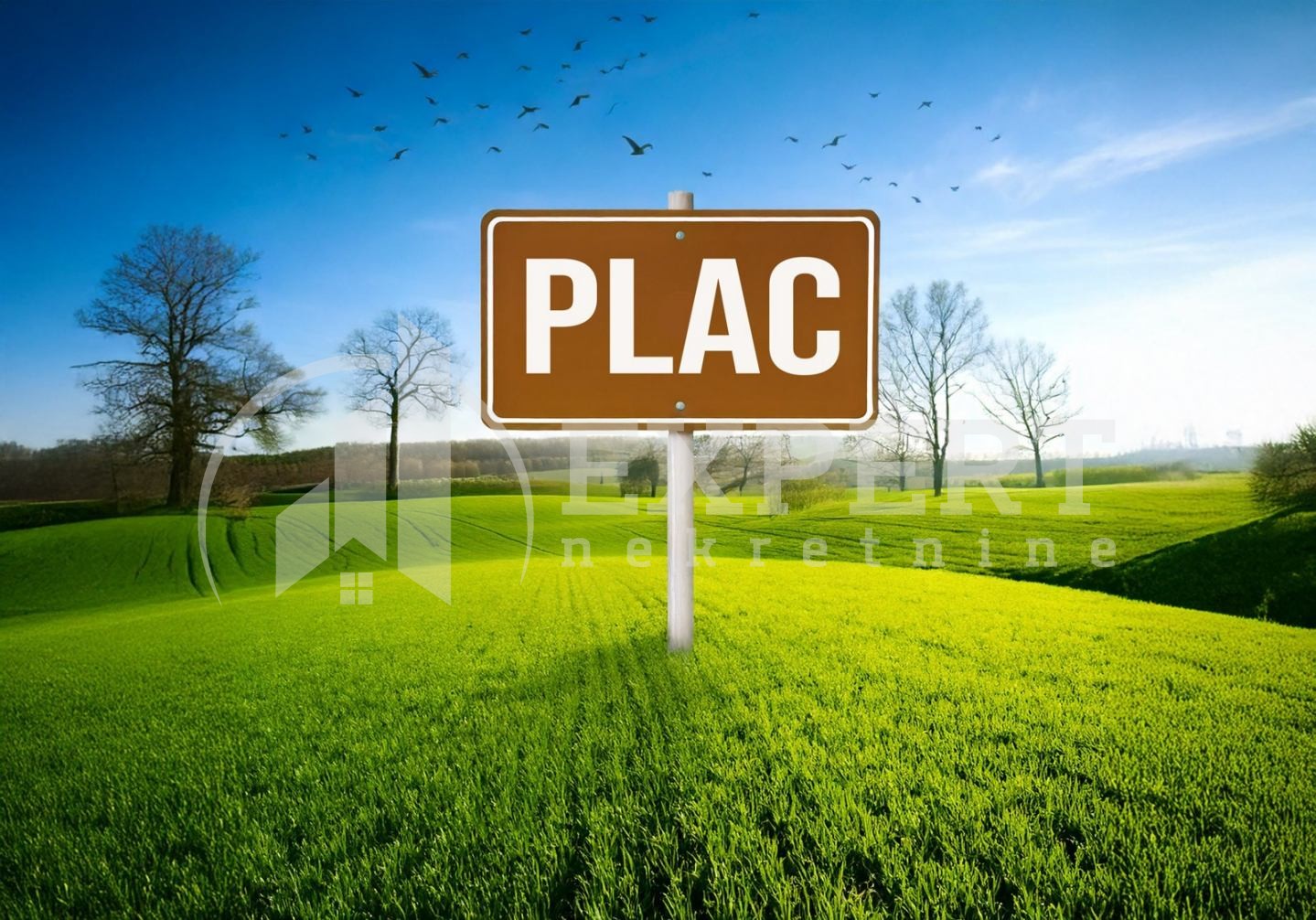 Plac, Niška Banja, Prosek ID: p-014446 1