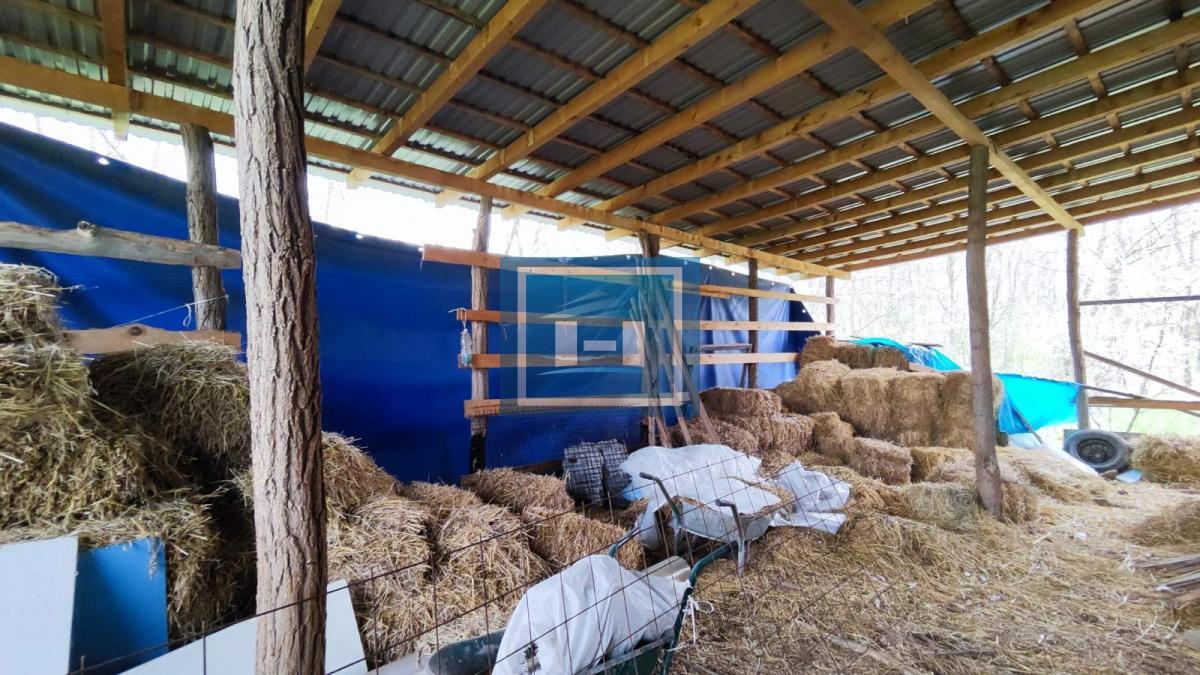 Kuća na parceli od 10 hektara zemlje u okolini Batočine 30