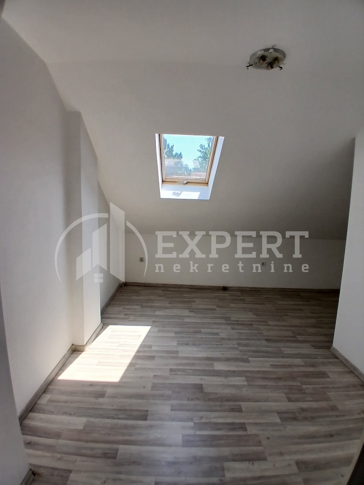 Lokal, 270 m2, Palilula, Jove Tošića ID: i-014469 4