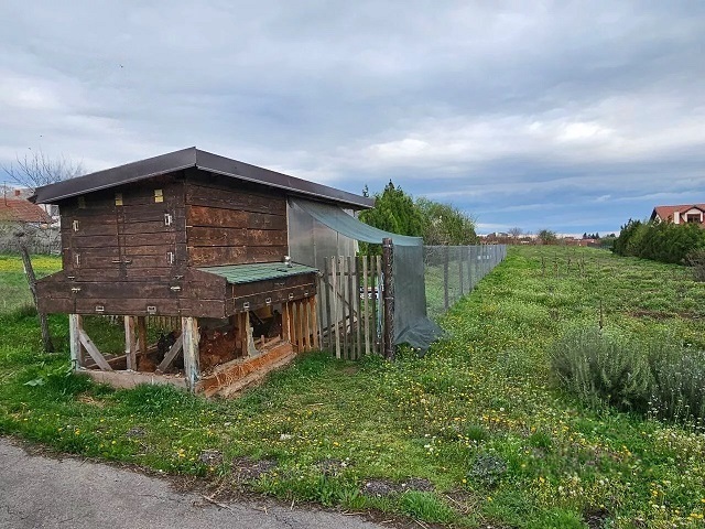 Kuca u Rajkovcu sa pomocnim objektima i placem 5