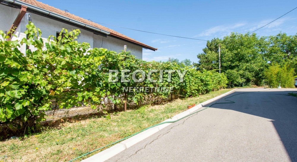 Kuća, 205 m2, Rajkovac, Stanoja Bugarskog ID: 120532 19