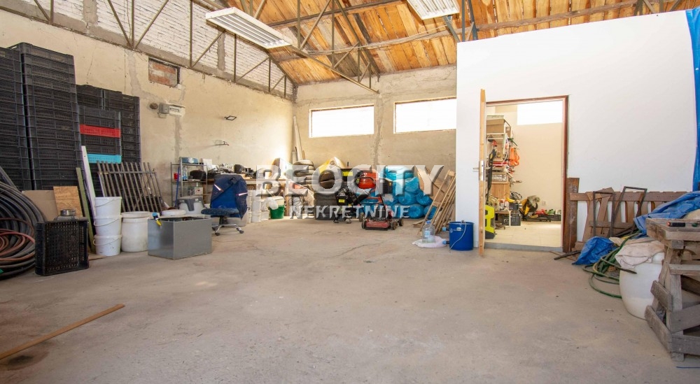 Kuća, 205 m2, Rajkovac, Stanoja Bugarskog ID: 120532 14