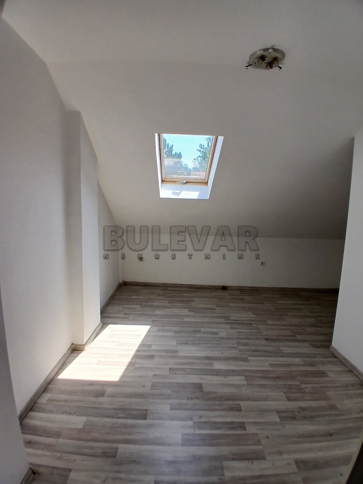 Lokal, 270 m2, Palilula, Jove Tošića ID: i-014469 4