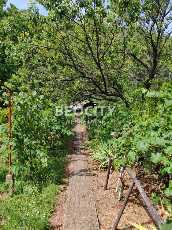 Dvosobna kuća, 80 m2, Stari Ledinci, Put za staro selo - Savlovača ID: 121011 6