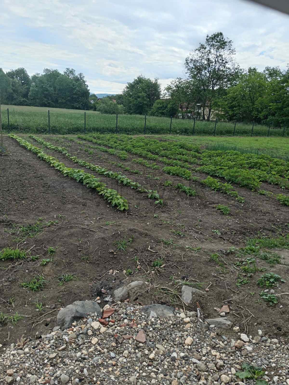 četvorosobna kuća, 24 m2, Obrva, Obrva ID: p-011110 3